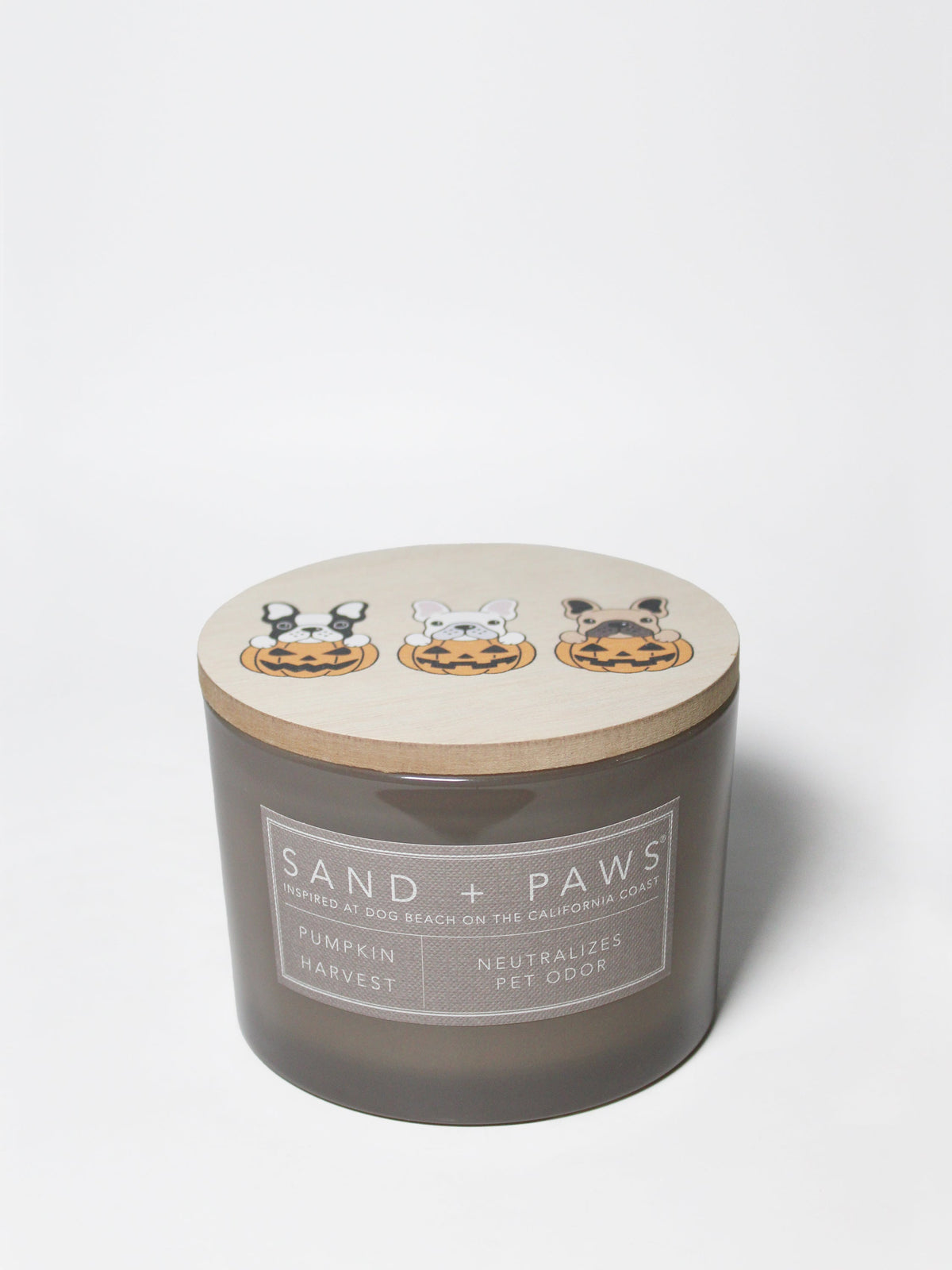 Sand + Paws Pumpkin Harvest Hand-poured 12 oz scented candle