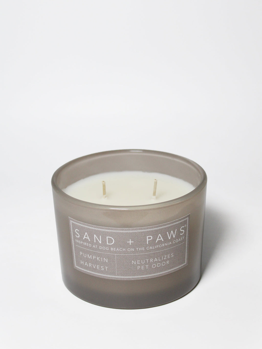 Sand + Paws Pumpkin Harvest Hand-poured 12 oz scented candle