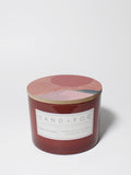 Sun-n-Fun Hand-poured 12 oz scented candle