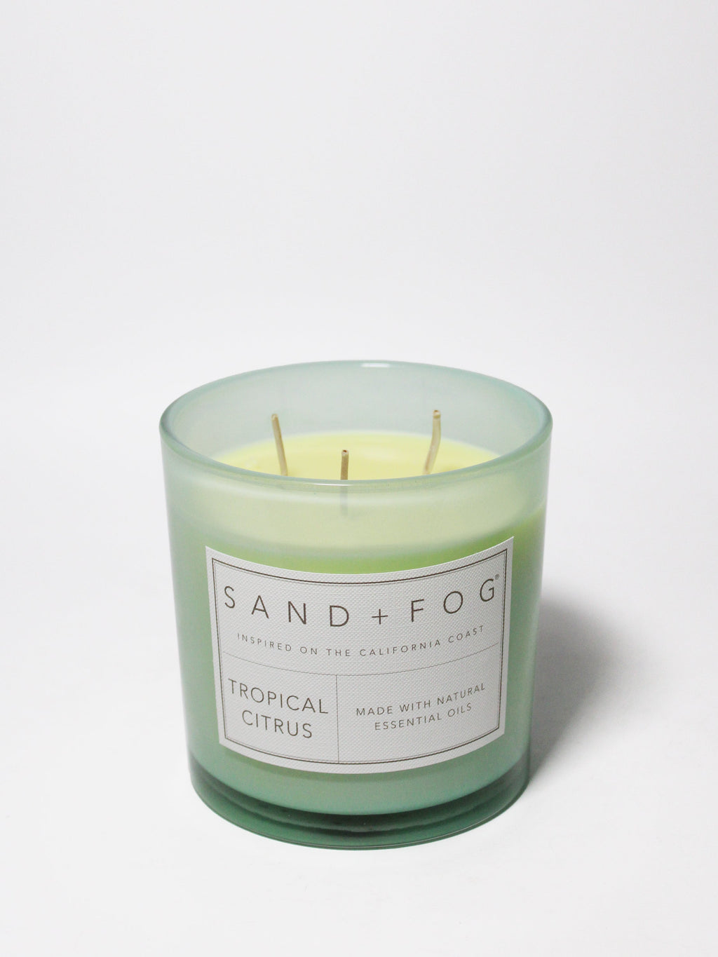 Tropical Citrus Hand-poured 21 oz scented candle