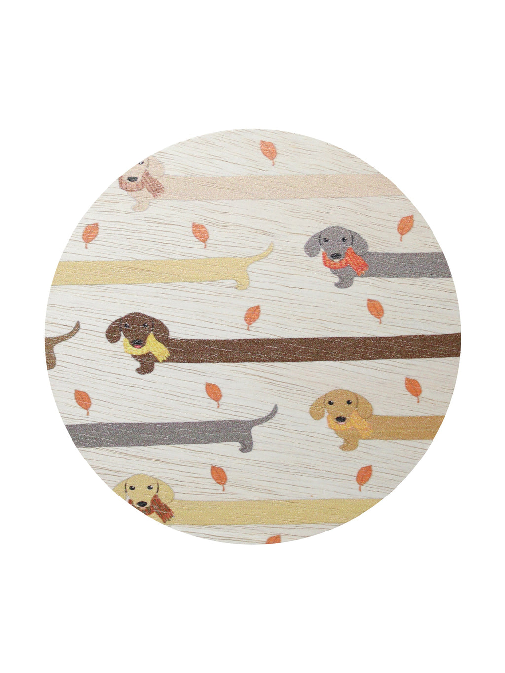 Sand + Paws Apple Cider Hand-poured 12 oz scented candle