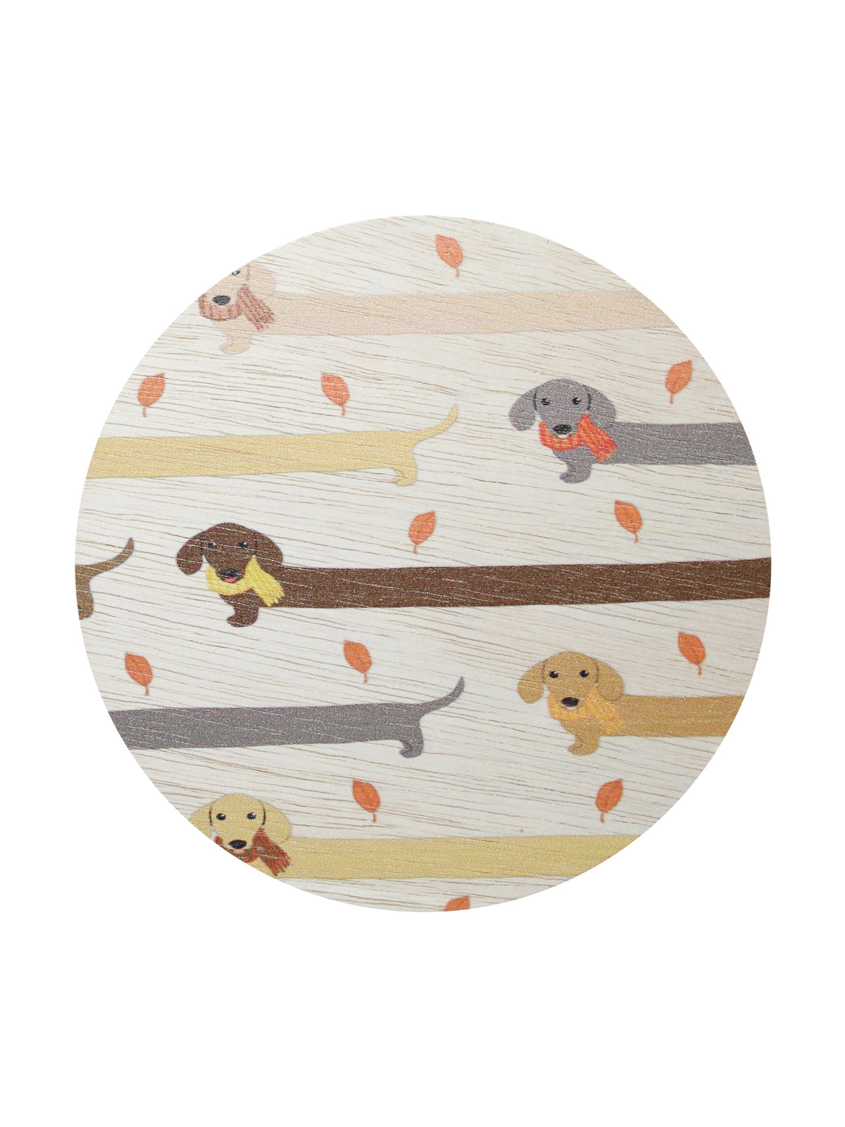 Sand + Paws Apple Cider Hand-poured 12 oz scented candle