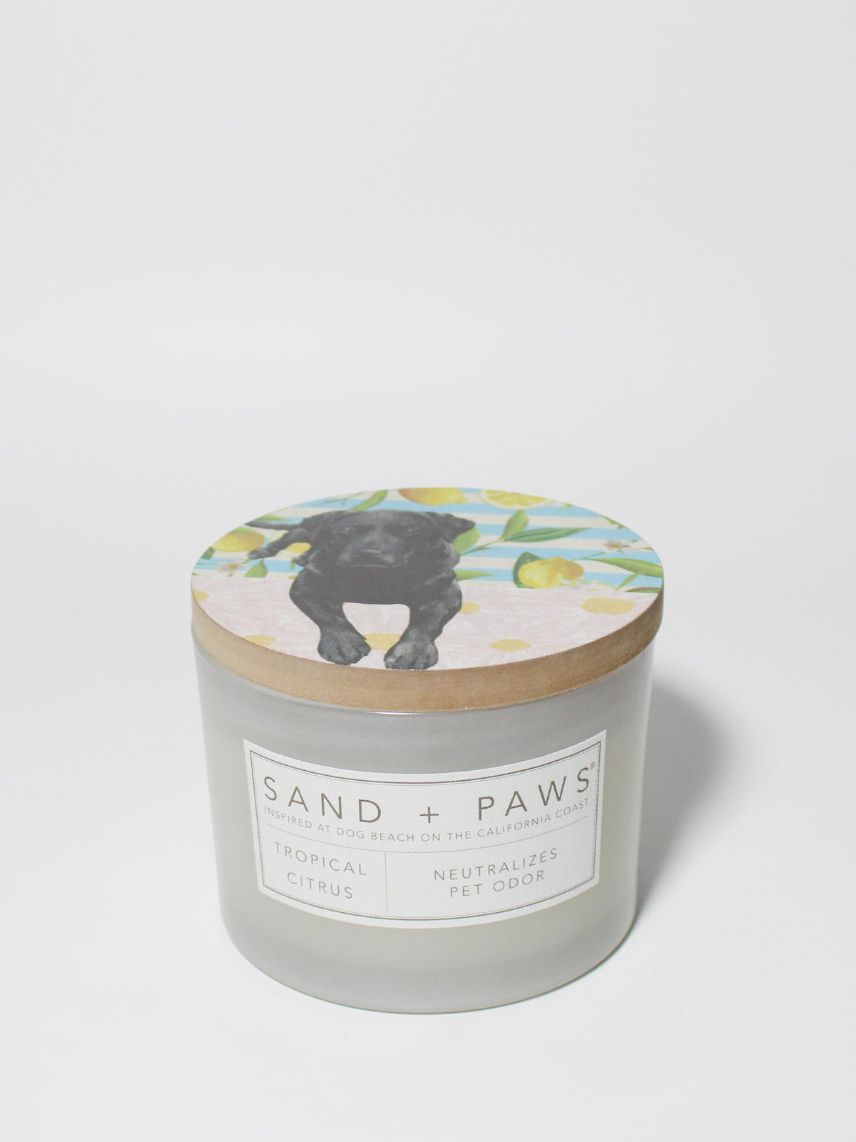 Sand + Paws Tropical Citrus Hand-poured 12 oz scented candle