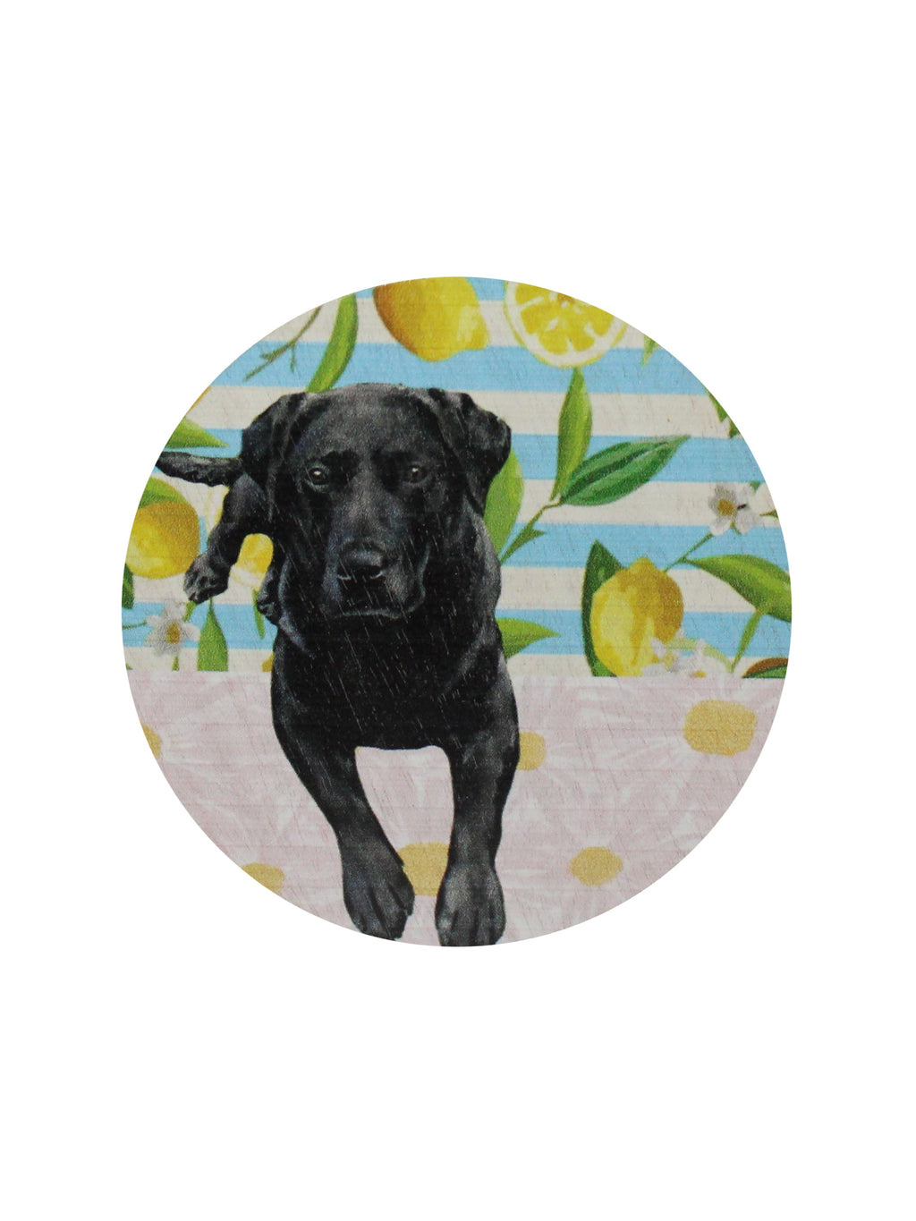 Sand + Paws Tropical Citrus Hand-poured 12 oz scented candle