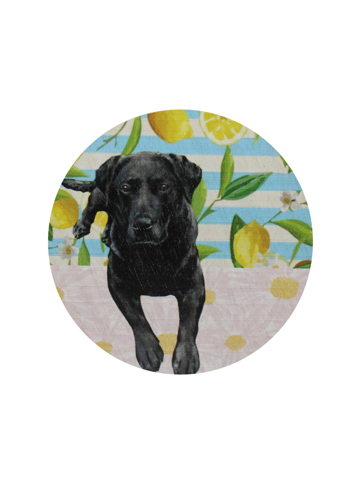 Sand + Paws Tropical Citrus Hand-poured 12 oz scented candle