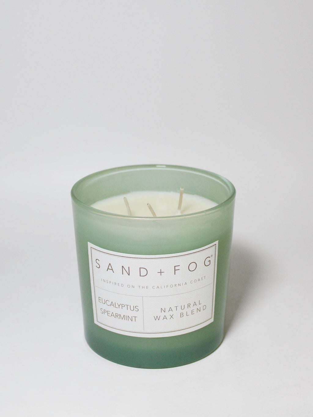 Eucalyptus Spearmint Hand-poured 21 oz scented candle