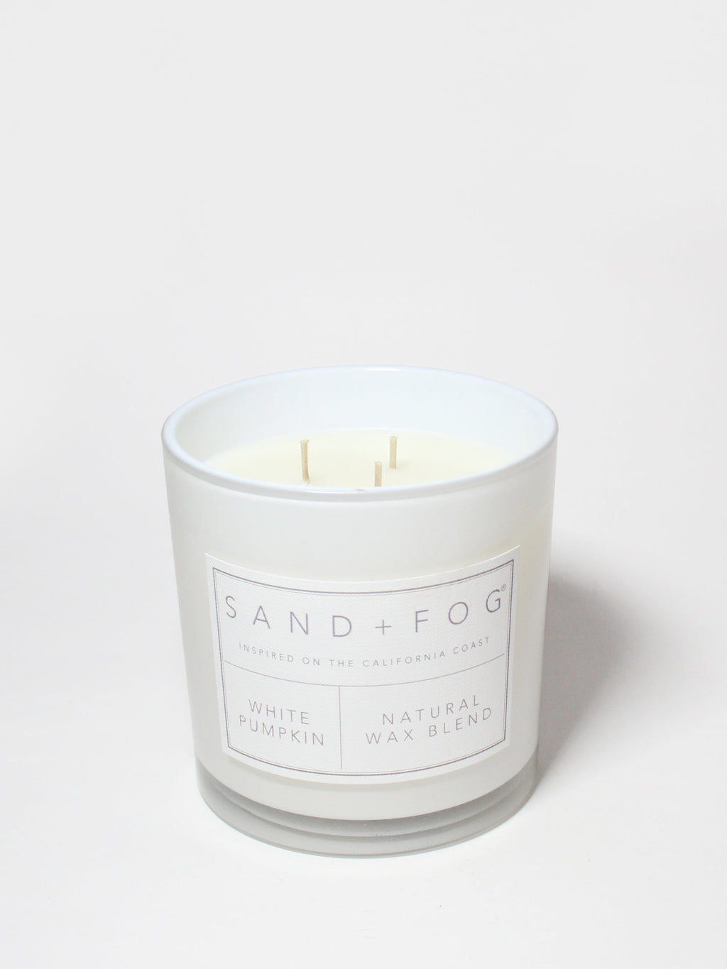 White Pumpkin Hand-poured 21 oz scented candle