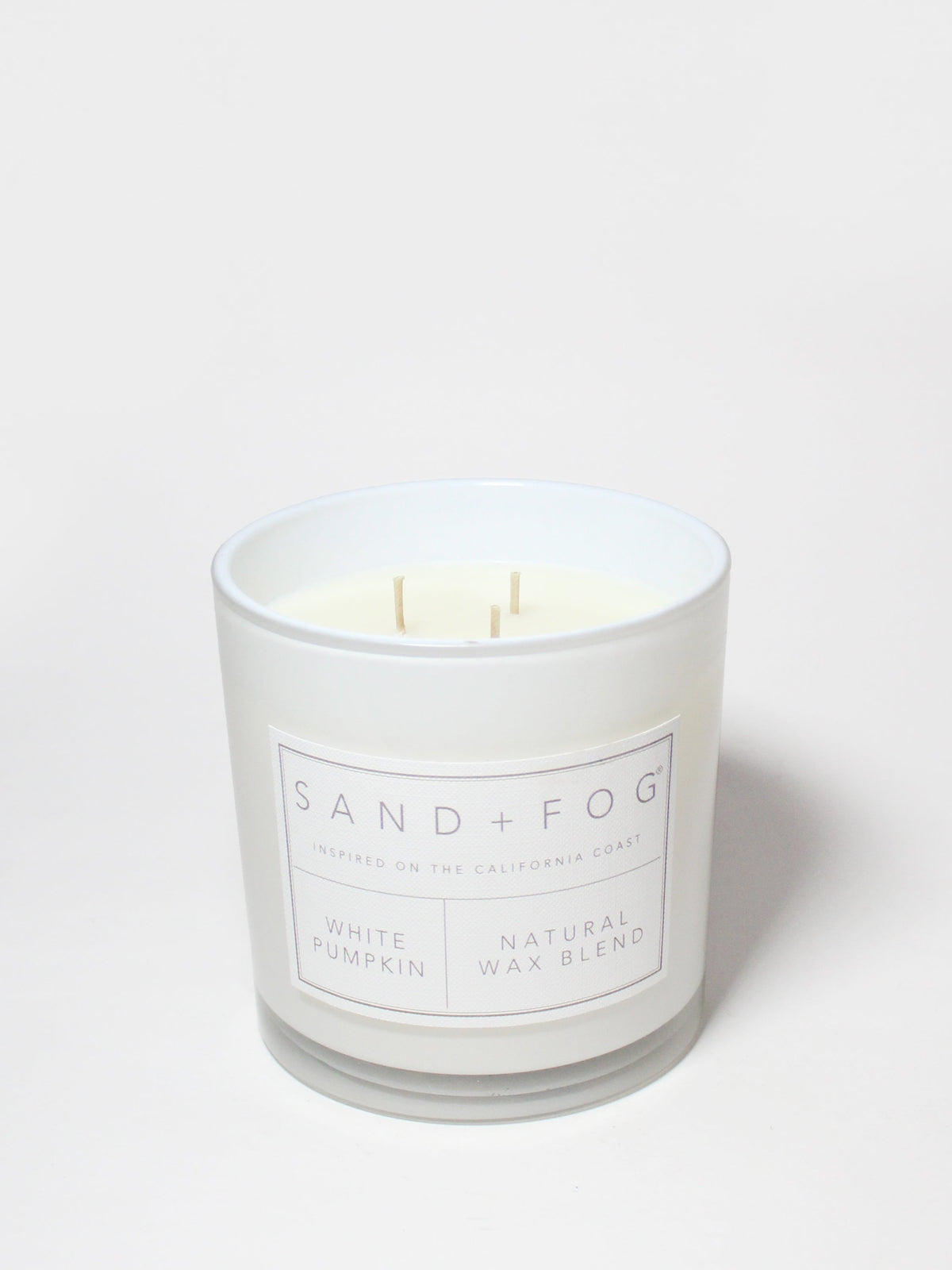 White Pumpkin Hand-poured 21 oz scented candle