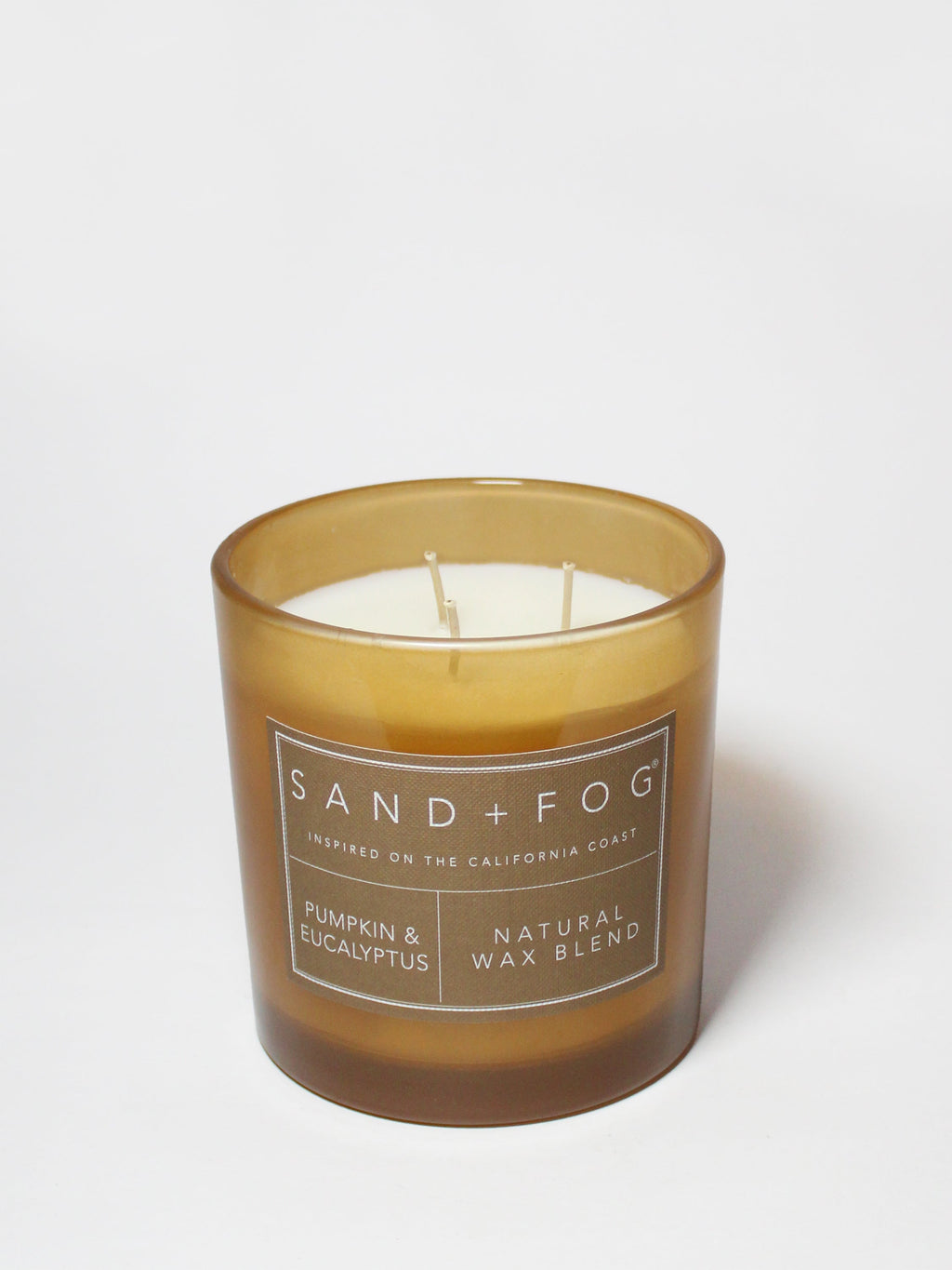 Pumpkin & Eucalyptus Hand-poured 21 oz scented candle