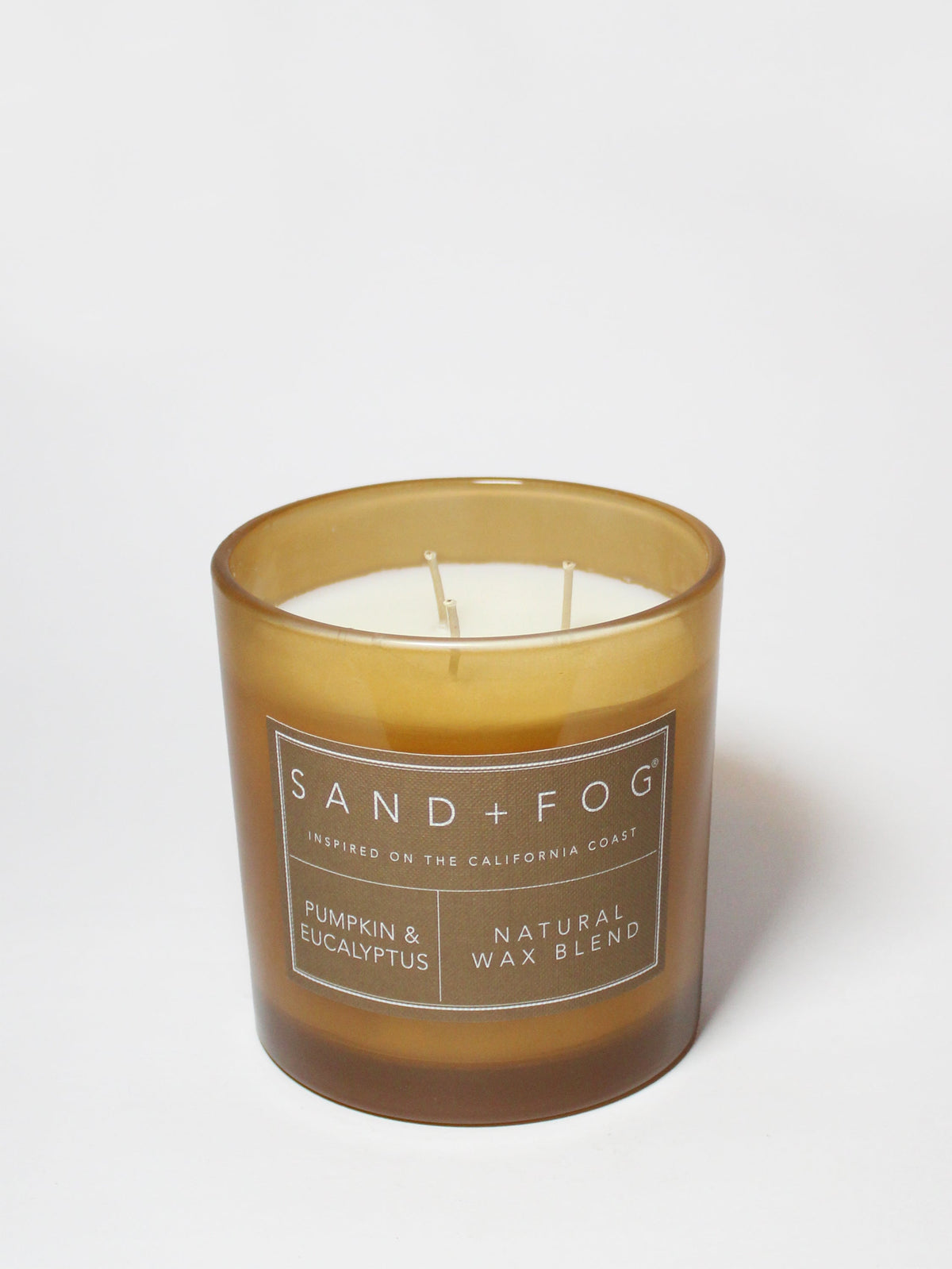 Pumpkin & Eucalyptus Hand-poured 21 oz scented candle