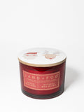 Vanilla Bean Noel Hand-poured 12 oz scented candle
