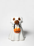 Sand + Paws Jack-o'-Lantern Hand-poured 11 oz scented candle