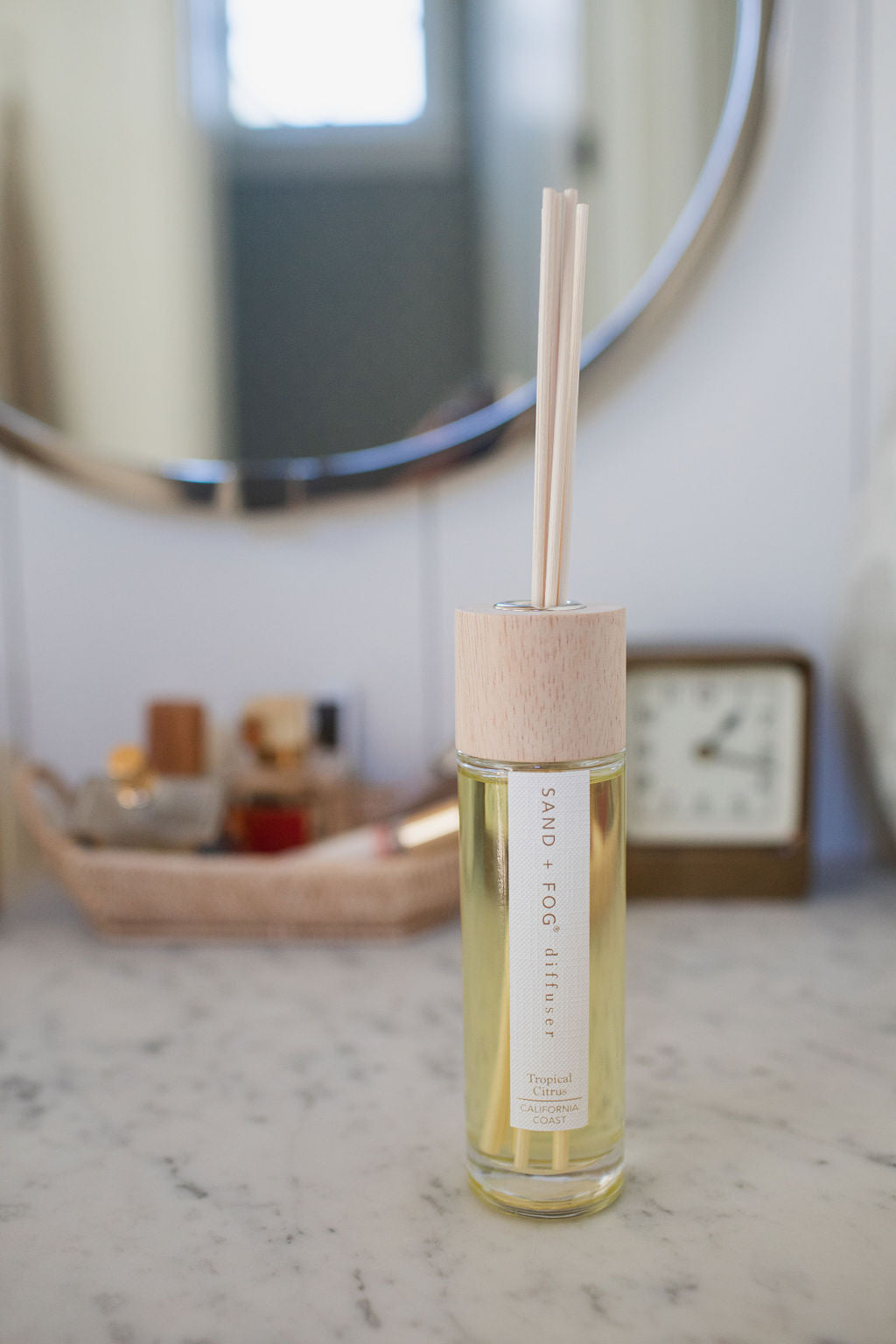 Tropical Citrus Aromatic 100 ml Reed Diffuser
