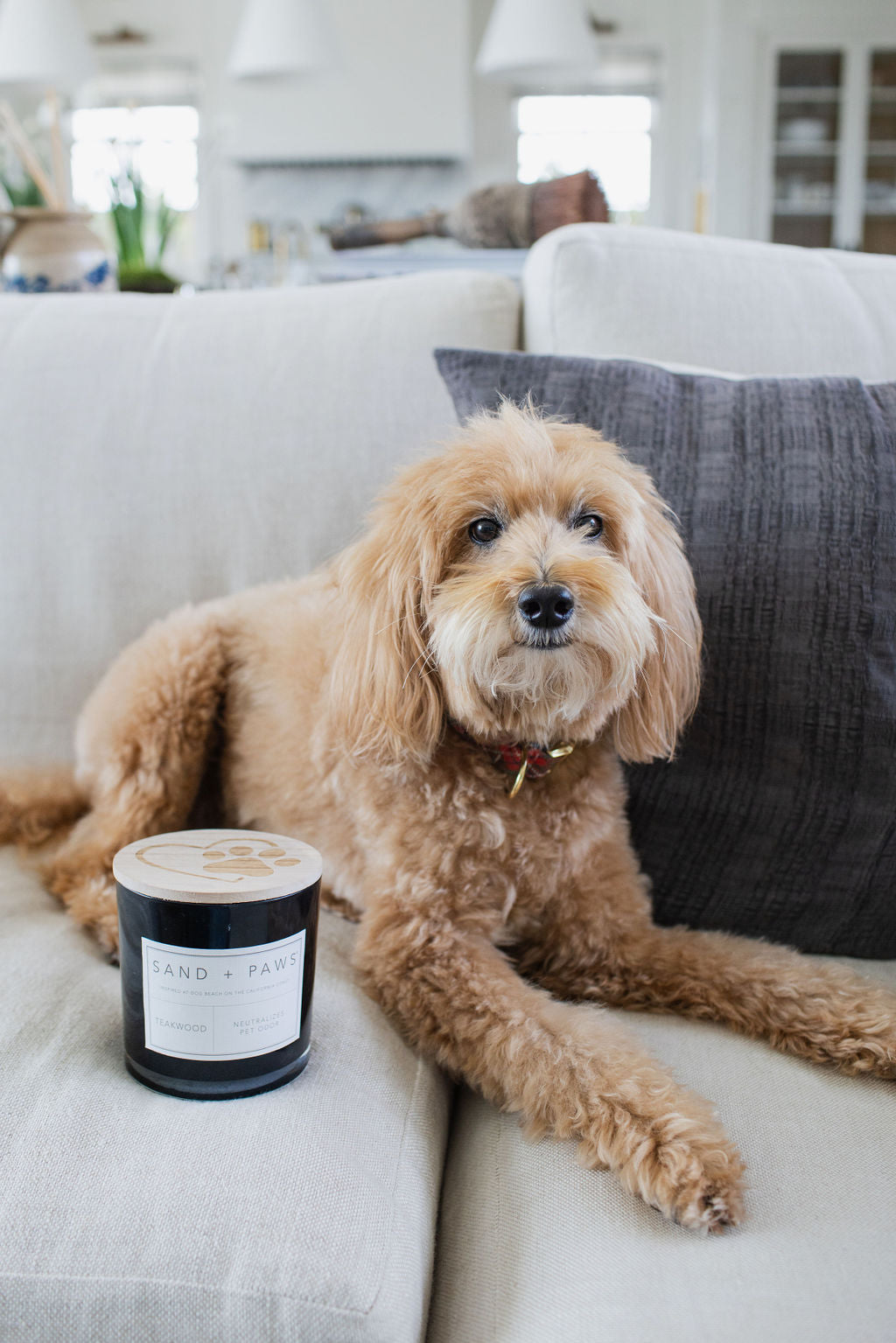 Sand + Paws Teakwood Hand-poured 21 oz scented candle