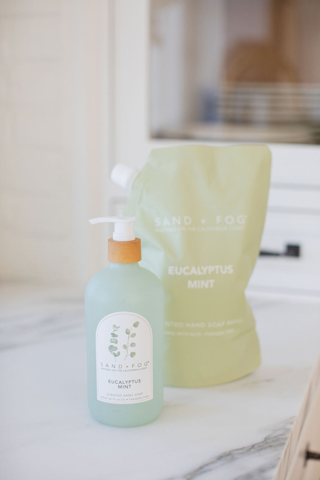 Eucalyptus Mint Gentle 34 oz Liquid Hand Soap Refill Bag