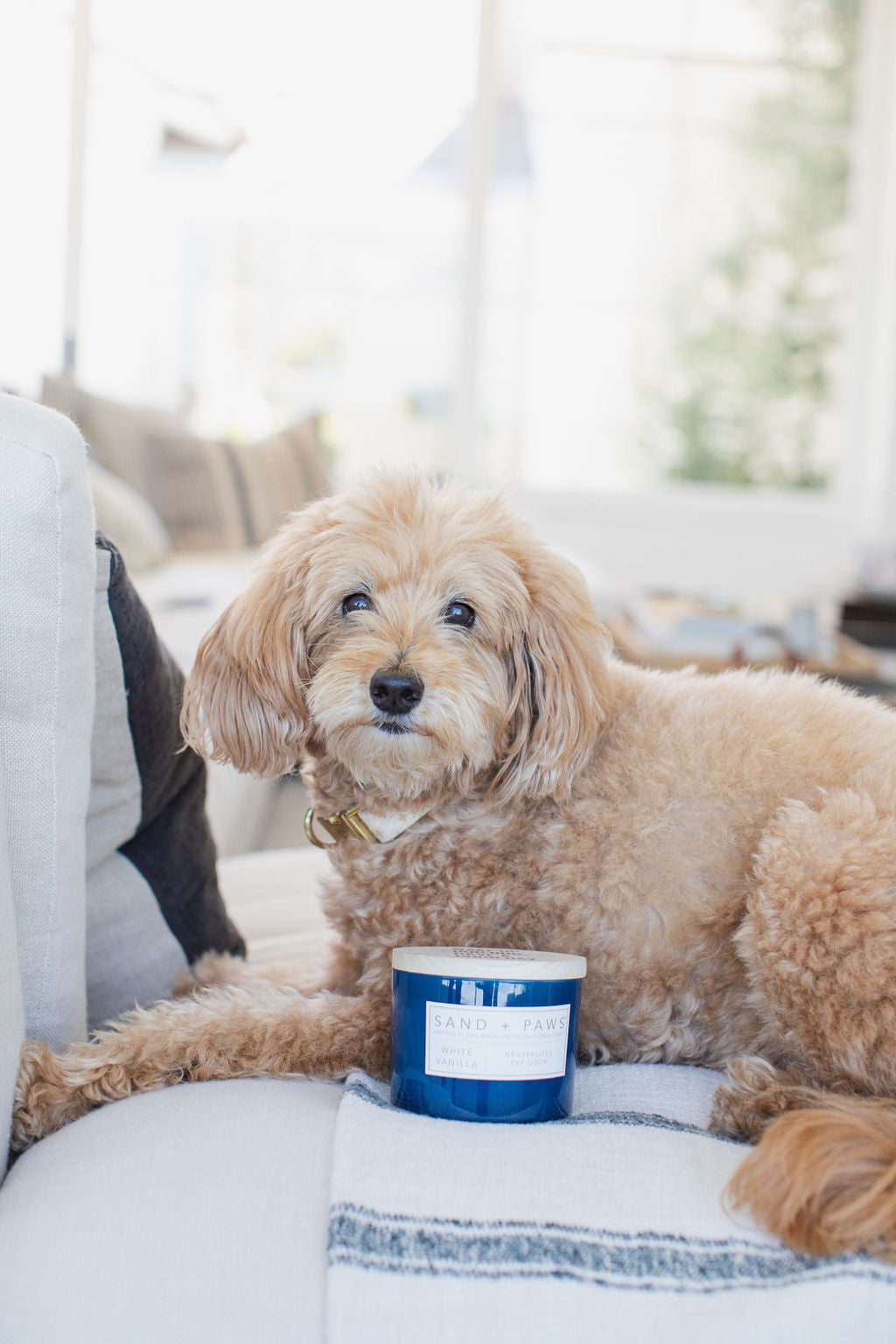 Sand + Paws White Vanilla Hand-poured 12 oz scented candle