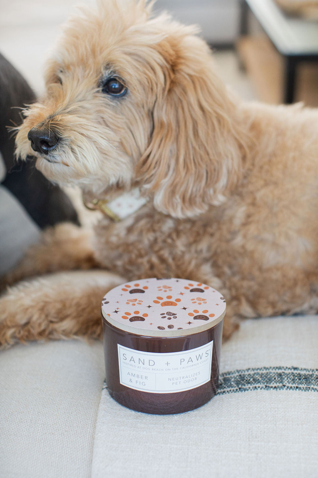 Sand + Paws Amber & Fig Hand-poured 12 oz scented candle