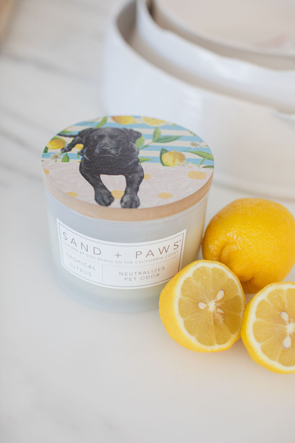 Sand + Paws Tropical Citrus Hand-poured 12 oz scented candle