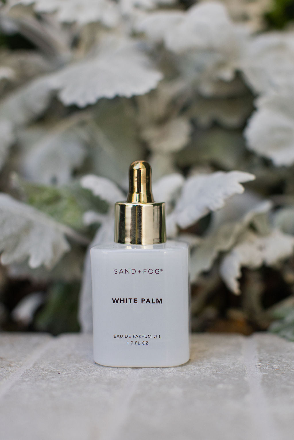 White Palm Long-lasting 50 ml Perfume Oil Dropper