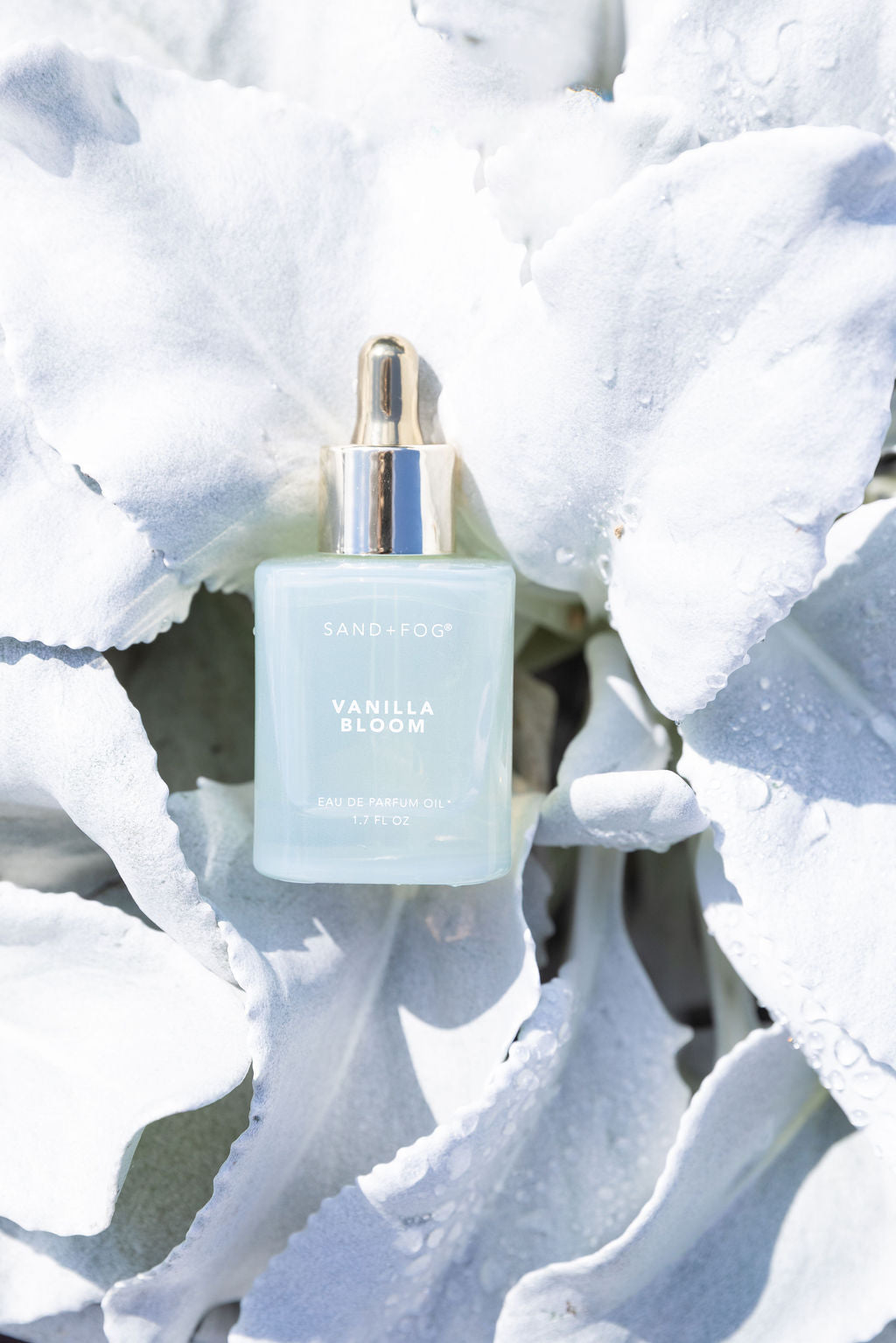 Vanilla Bloom Long-lasting 50 ml Perfume Oil Dropper
