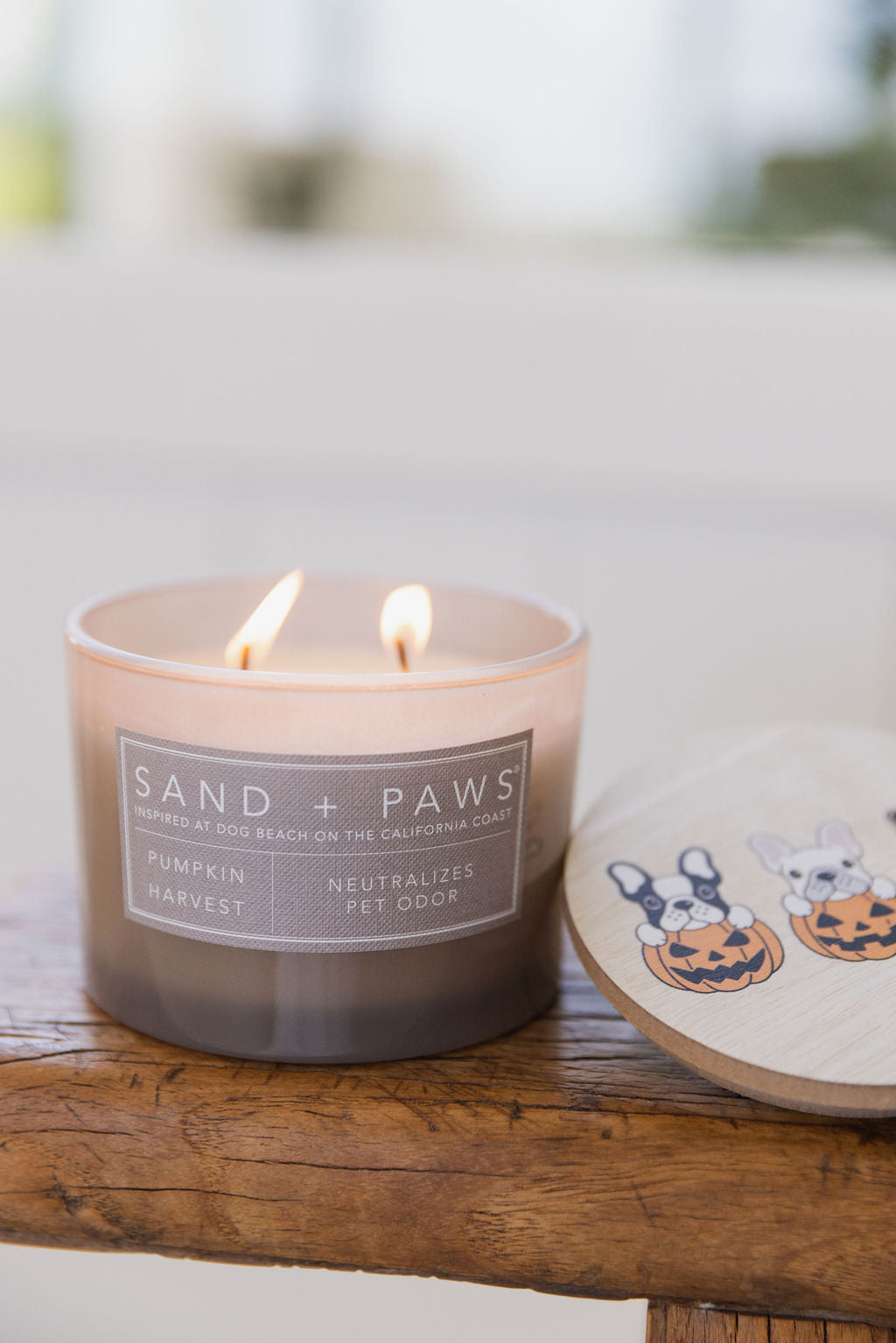 Sand + Paws Pumpkin Harvest Hand-poured 12 oz scented candle