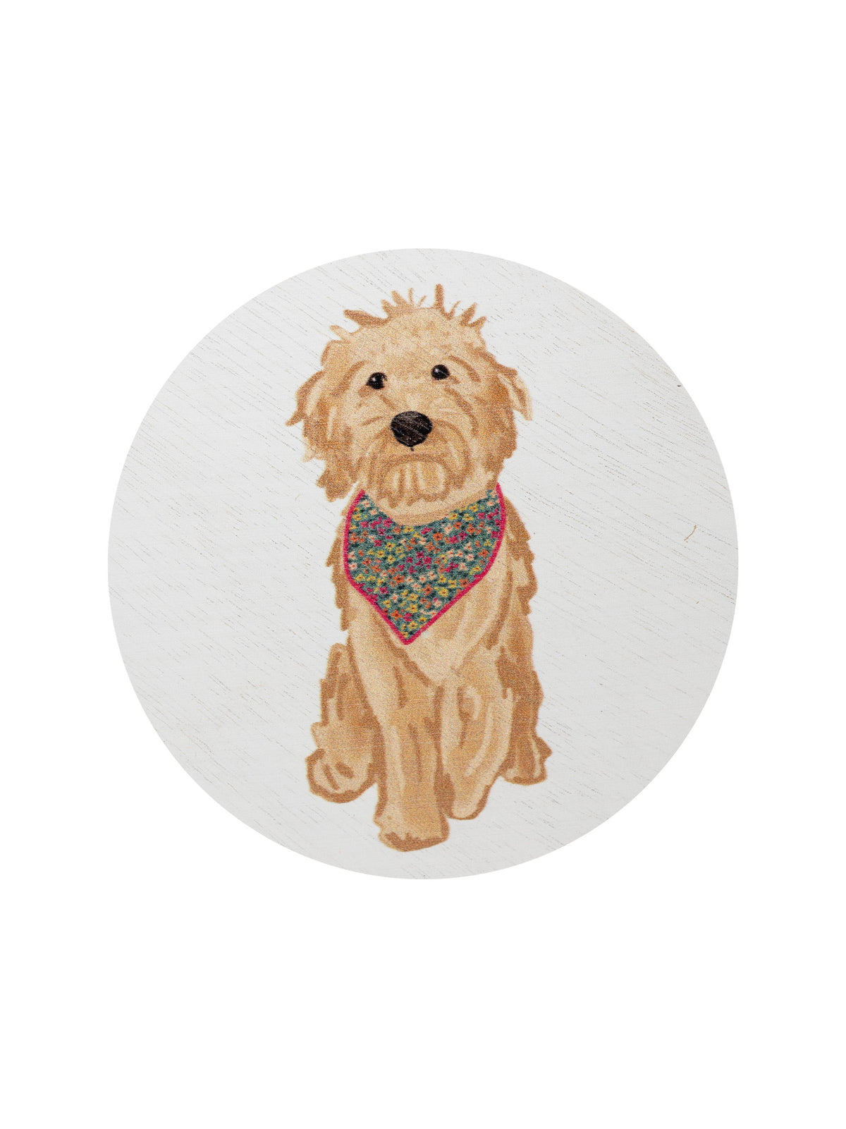 Sand + Paws Laundry Day Hand-poured 12 oz scented candle