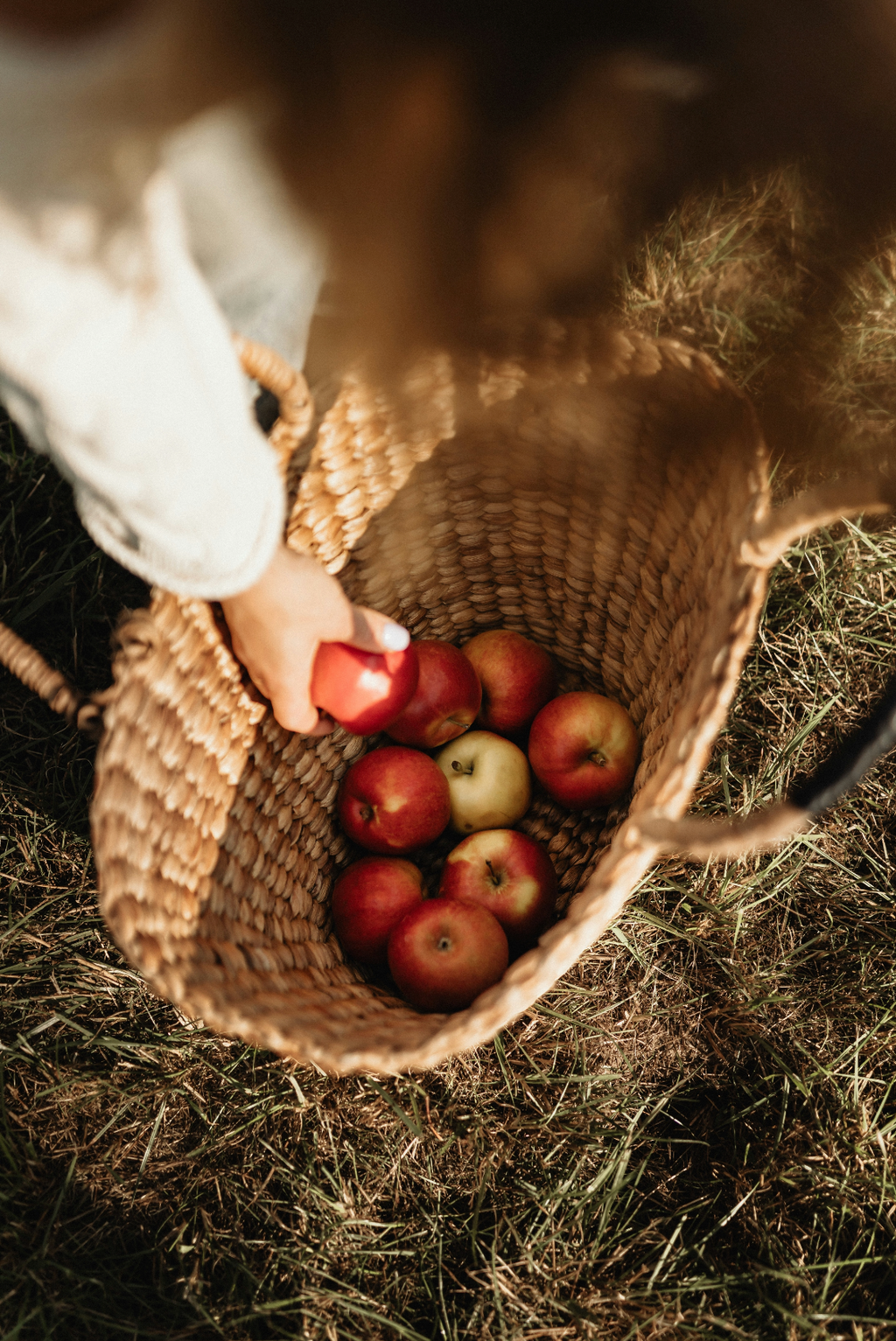 Apple Picking Hand-poured 12 oz scented candle