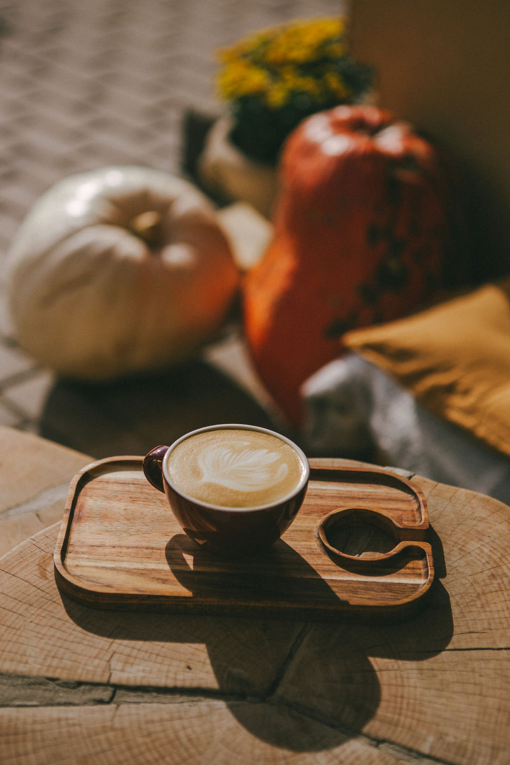 Sand + Paws Pumpkin Soy Latte Hand-poured 12 oz scented candle