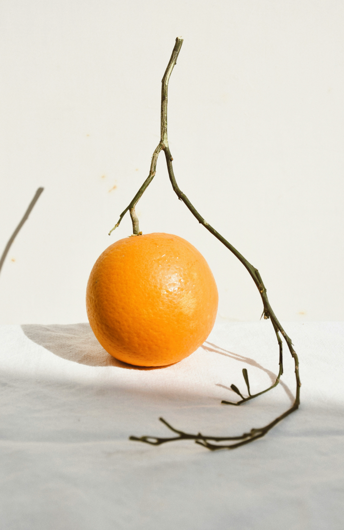 Citrus & Sandalwood Hand-poured 10 oz scented candle