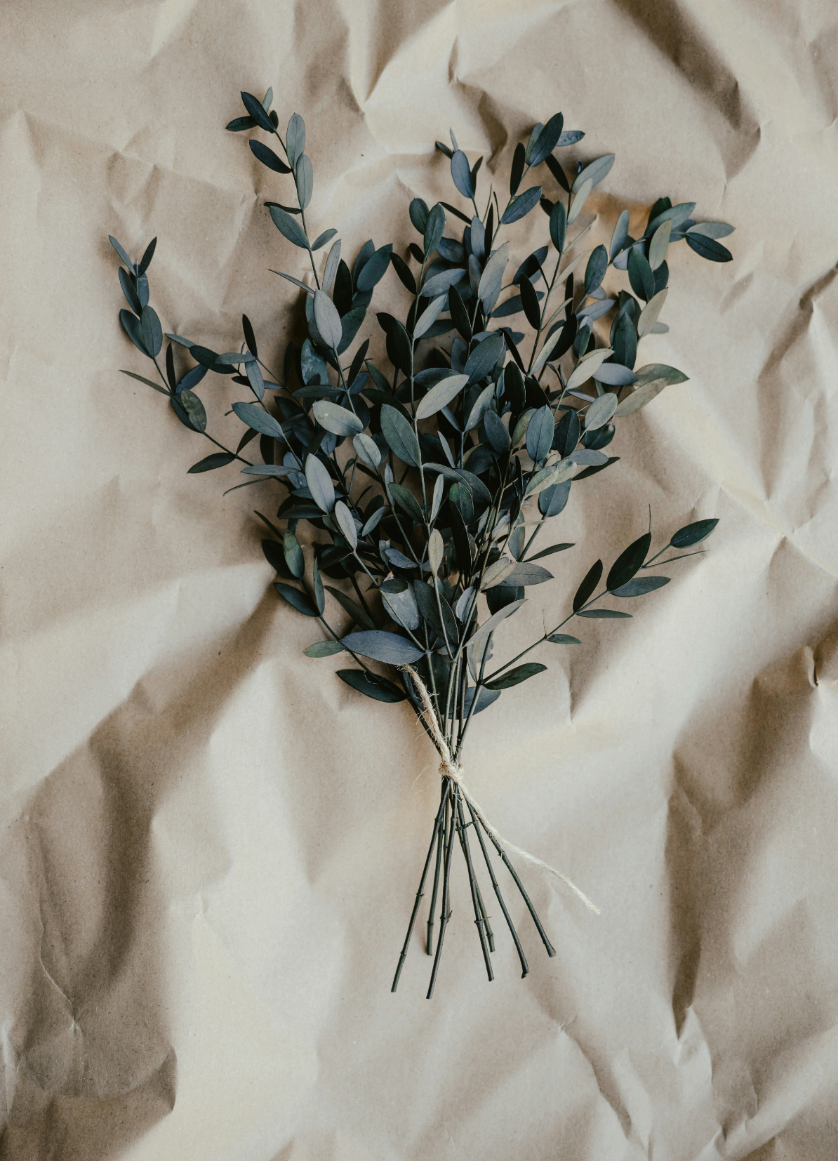Eucalyptus Fresh 107 ml Room Spray