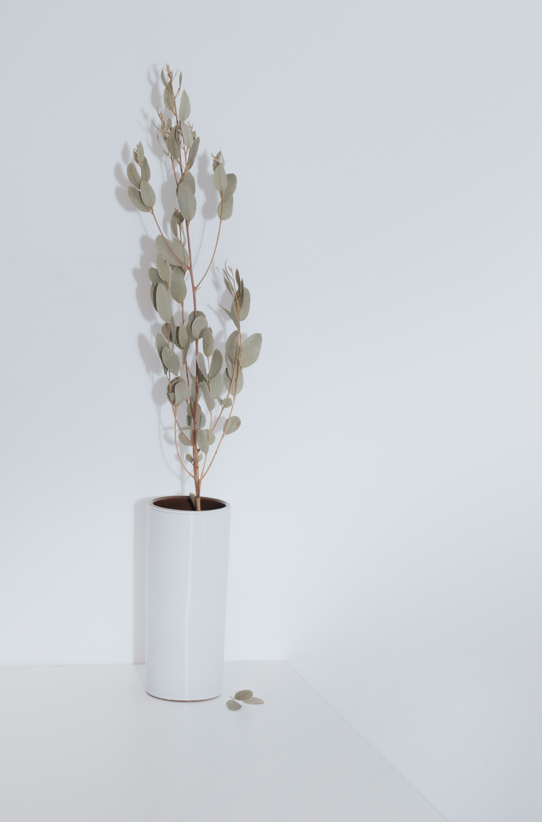 Eucalyptus Spearmint Aromatic 100 ml Reed Diffuser