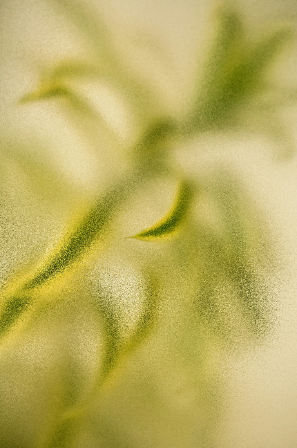 Lemongrass Hand-poured 12 oz scented candle