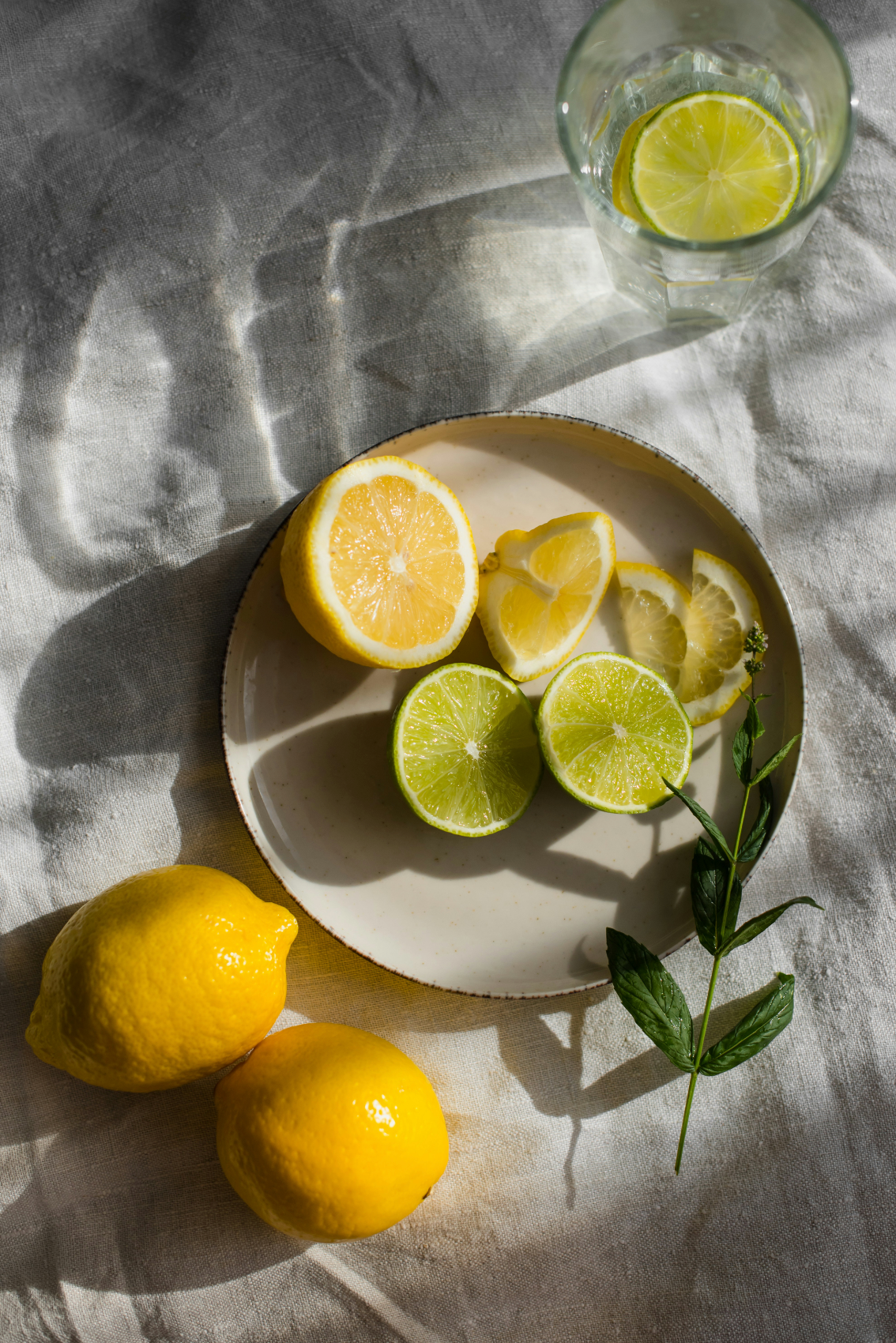 Sand + Paws Limoncello Hand-poured 12 oz scented candle