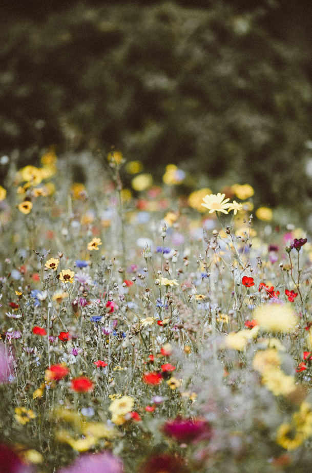 Wild Flowers Hand-poured 12 oz scented candle