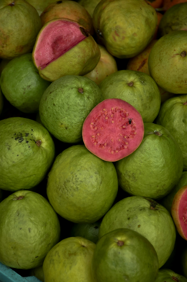 Paradise Guava Hand-poured 12 oz scented candle