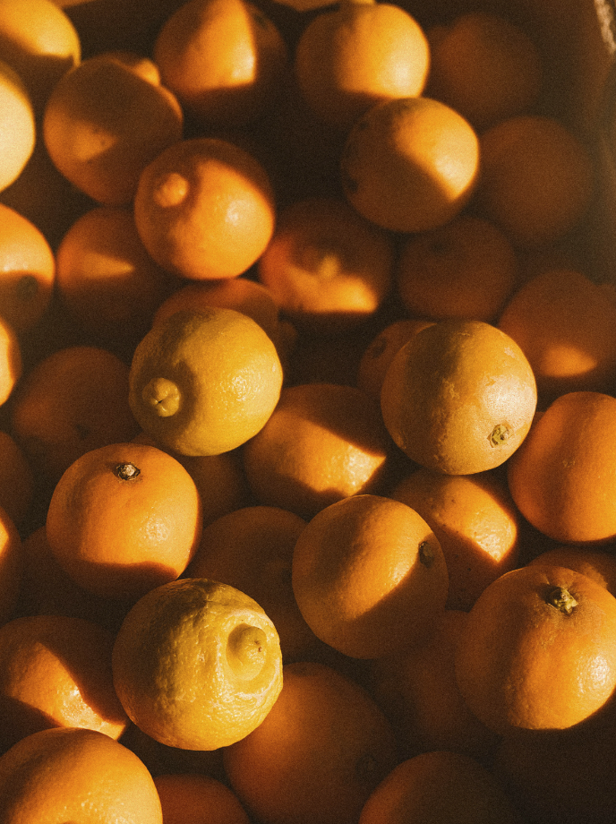 Sand + Paws Golden Citrus Hand-poured 12 oz scented candle
