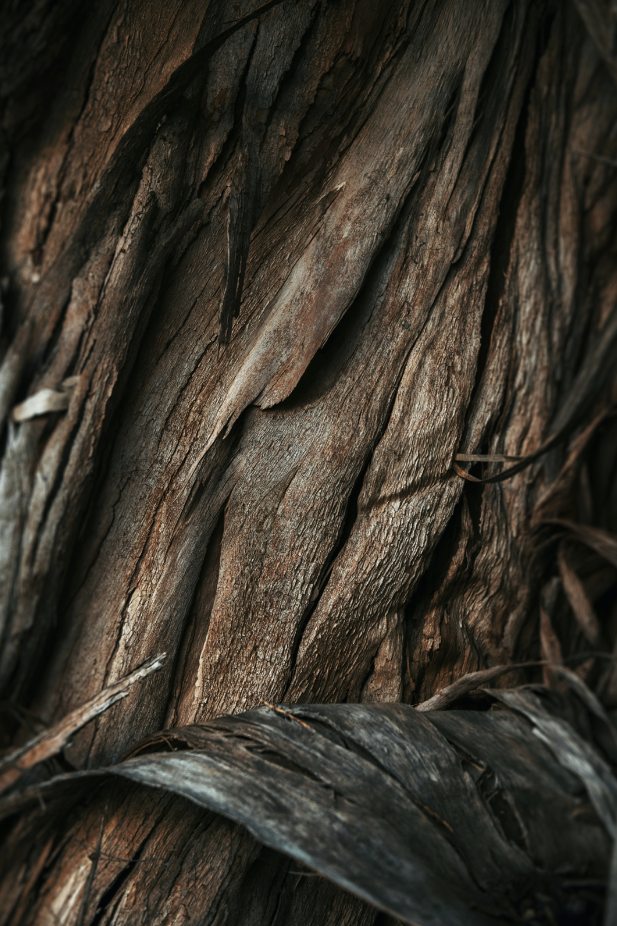 Vanilla Sandalwood Hand-poured 21 oz scented candle