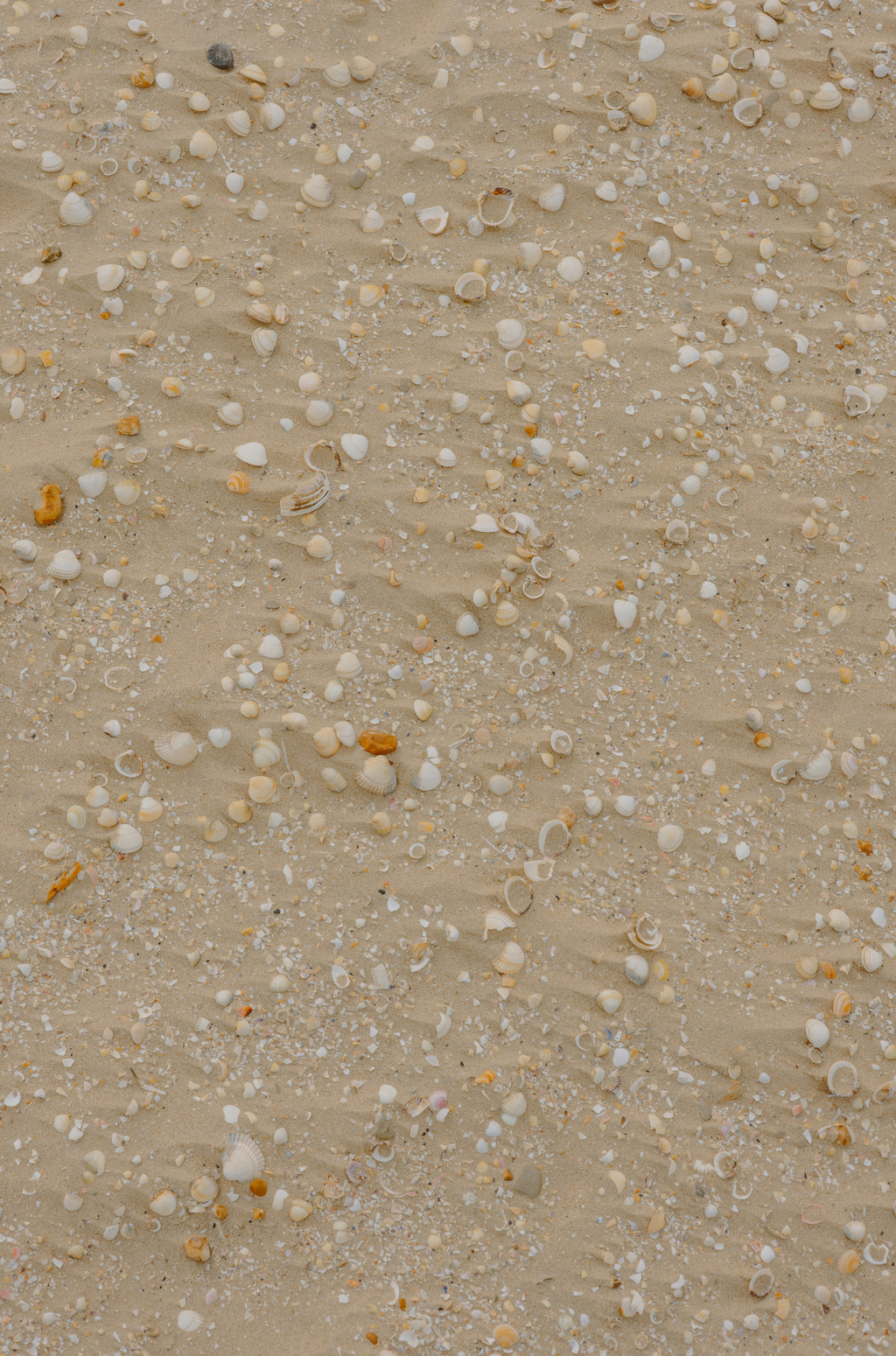 Ocean & Sea Salt Hand-poured 12 oz scented candle