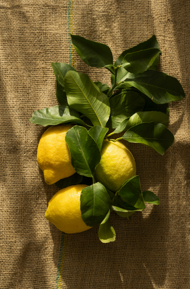 Olive & Lemon Hand-poured 10 oz scented candle