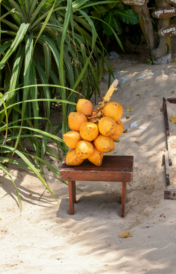 Coconut Blossom Long-lasting 50 ml Perfume Oil Dropper