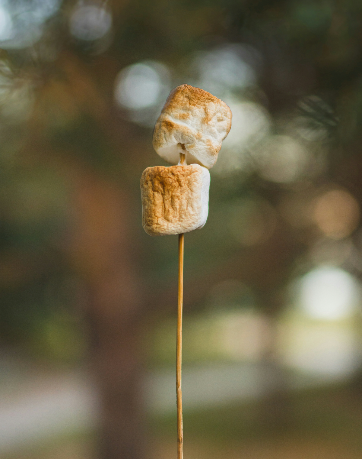 Toasted Marshmallow Long-lasting 50ml Perfume Oil Dropper