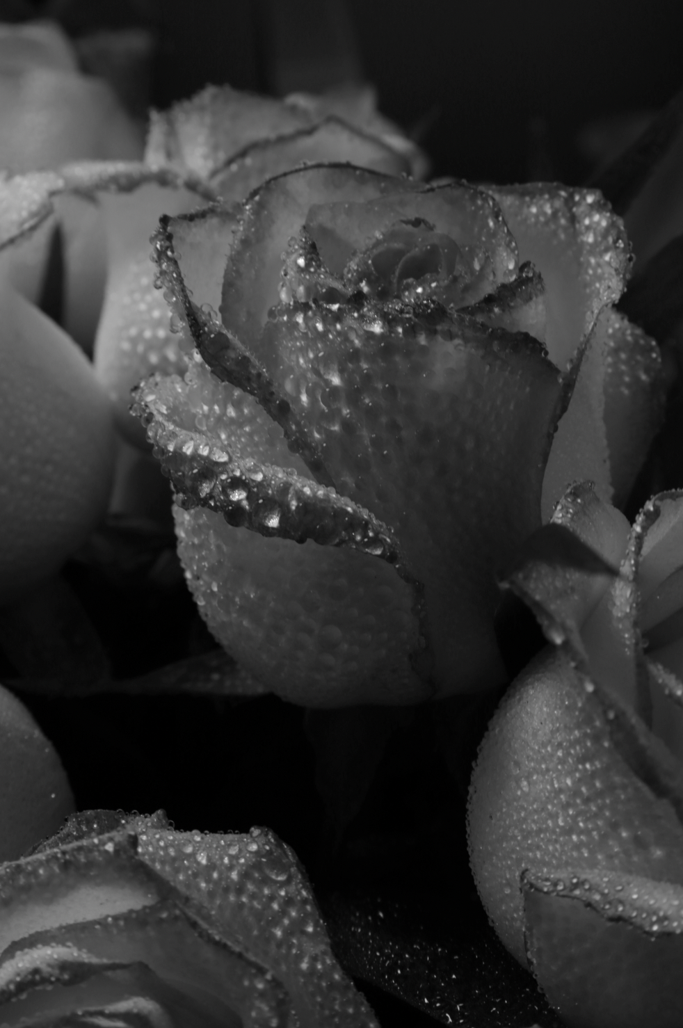 Rose Dew Long-lasting 50ml Perfume Oil Dropper