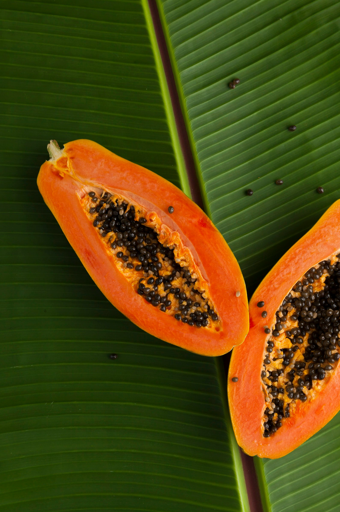 Island Papaya Hand-poured 12 oz scented candle