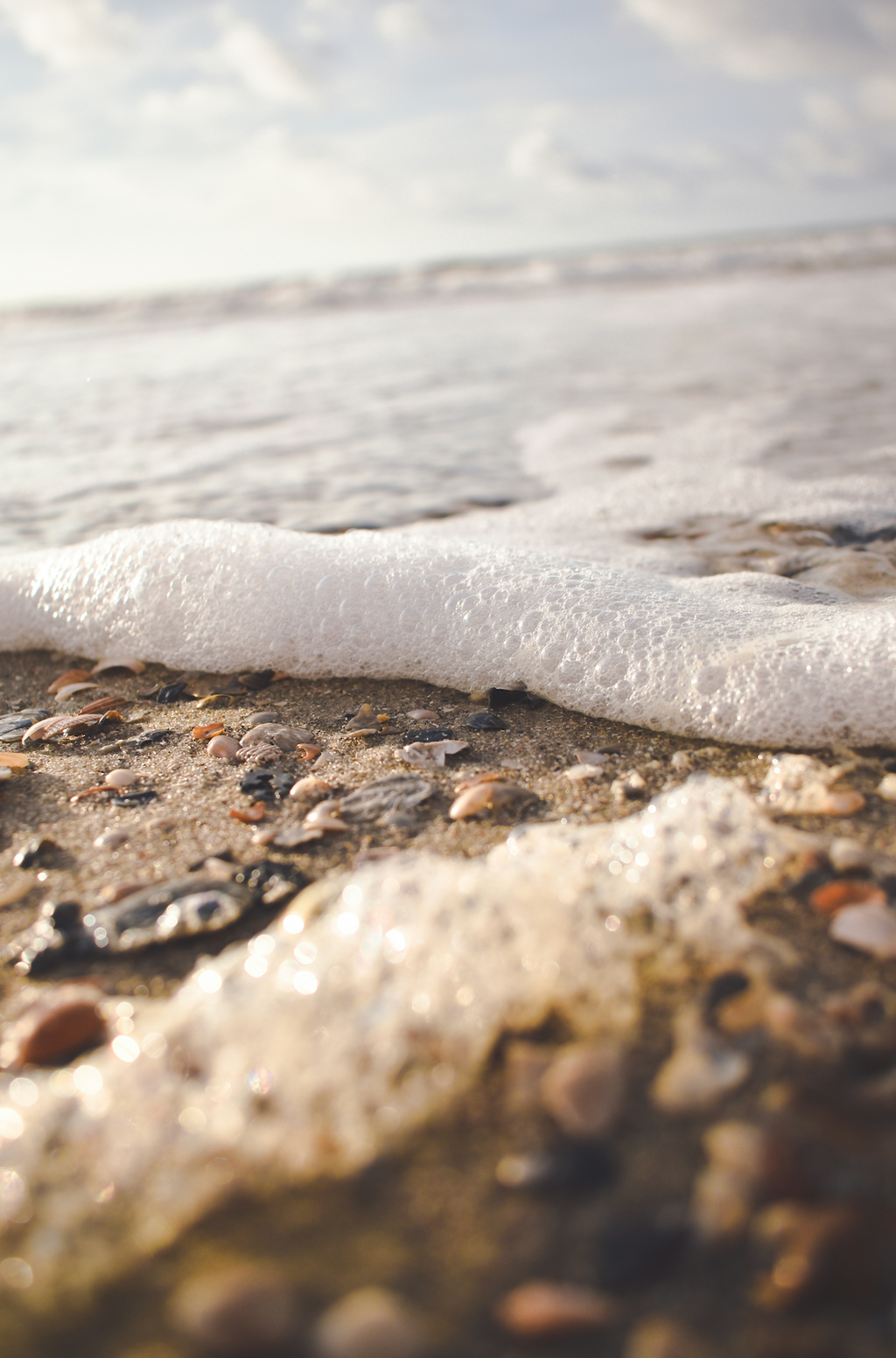 Beach Walk Hand-poured 12 oz scented candle