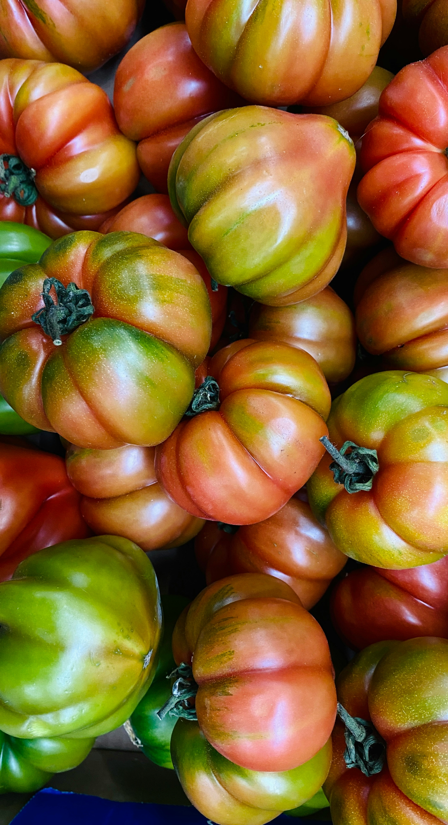 Sicilian Tomato Hand-poured 12 oz scented candle