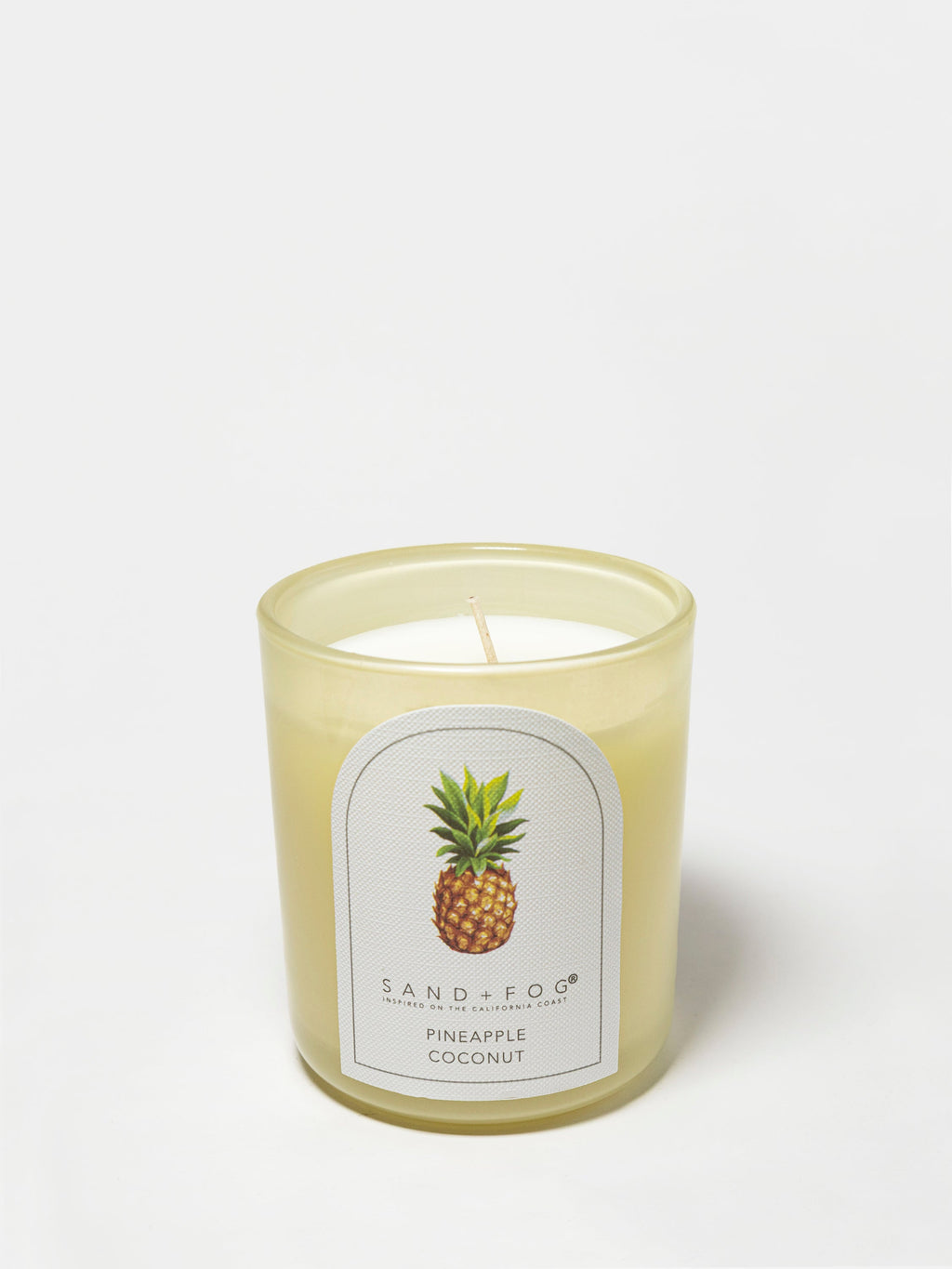 Pineapple Coconut Hand-poured 10 oz scented candle