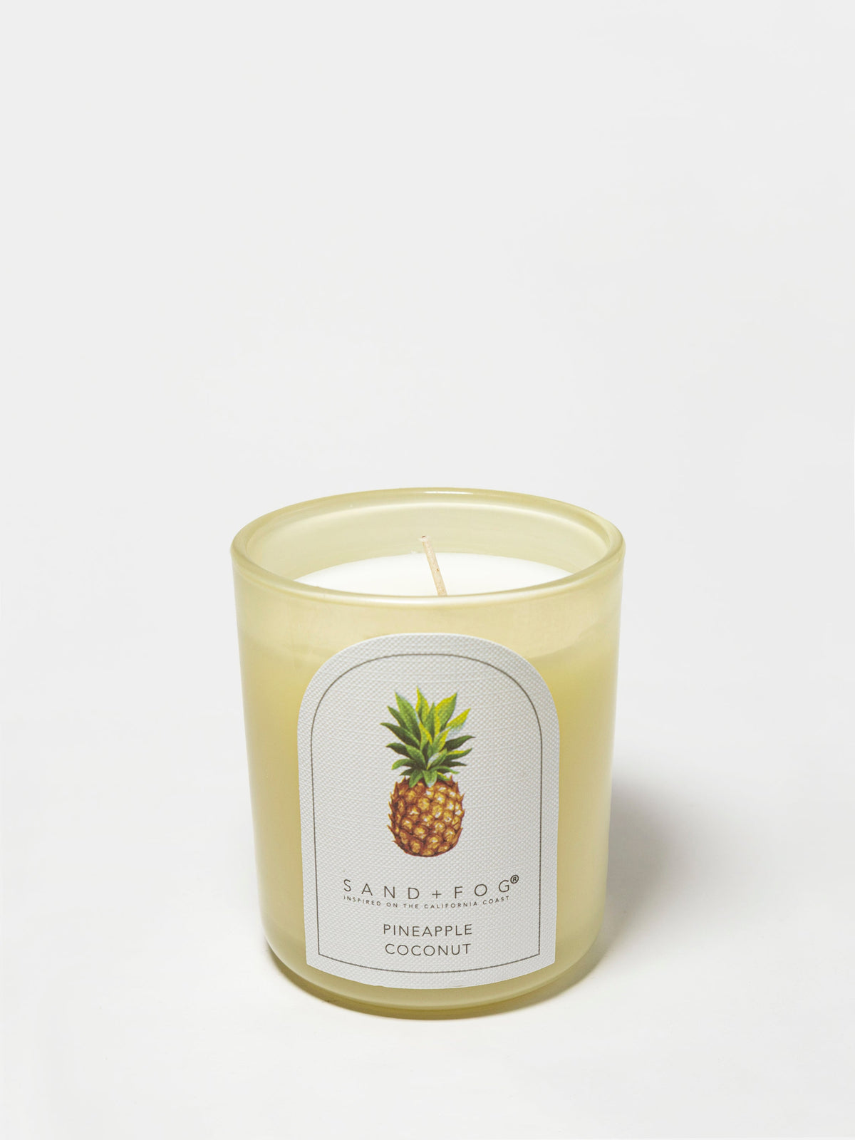 Pineapple Coconut Hand-poured 10 oz scented candle