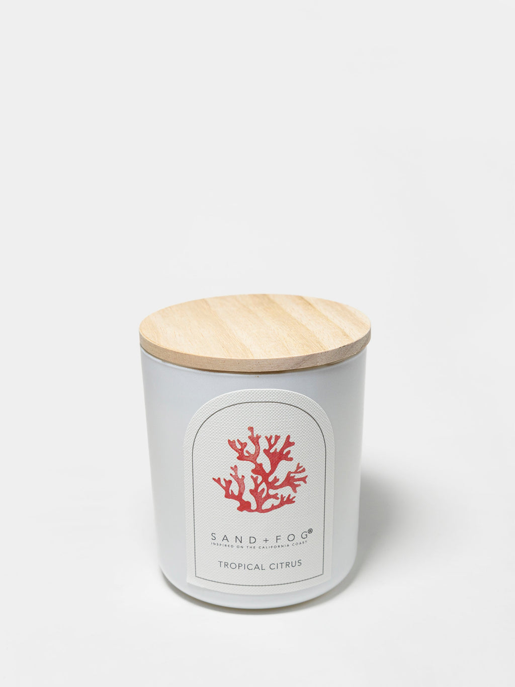 Tropical Citrus Hand-poured 10 oz scented candle