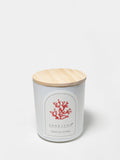 Tropical Citrus Hand-poured 10 oz scented candle