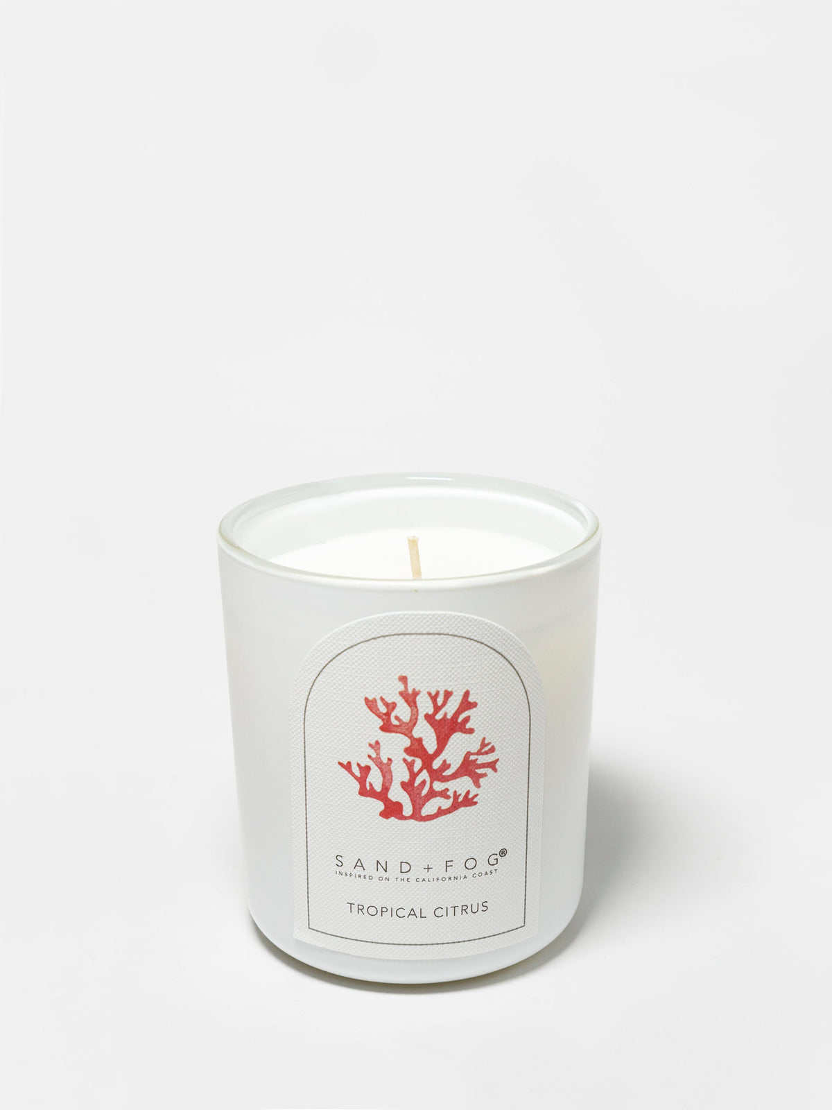 Tropical Citrus Hand-poured 10 oz scented candle